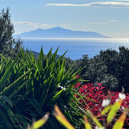 Gîte indépendant dans villa entre mer et maquis Sisco Exterior foto